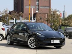Tesla Model 3 Standard Range RWD Upgrade 3D6 - ფოტო 3