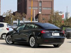 Tesla Model 3 Standard Range RWD Upgrade 3D6 - ფოტო 5
