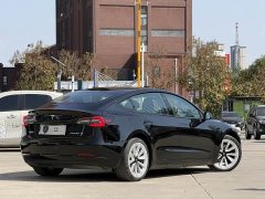 Tesla Model 3 Standard Range RWD Upgrade 3D6 - ფოტო 7