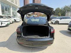Tesla Model 3 Standard Range RWD Upgrade 3D6 - ფოტო 8