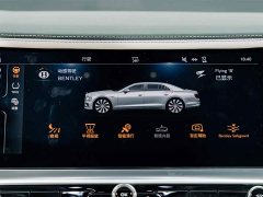 Bentley Flying Spur Plug-in Hybrid 2.9T V6 - ფოტო 14
