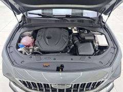 Geely Xingrui Oriental Radiance 2.0T Diesel Moonlight Edition - ფოტო 12