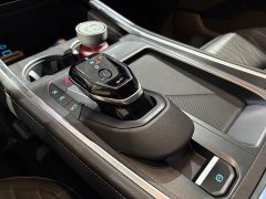Ford Edge L 2.0T EcoBoost 2WDLuxury Version - ფოტო 15