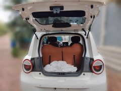 Changan Lumin Treasure Edition 205km Pure Love Rice Guoxuan - ფოტო 20