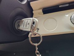 Changan Lumin Treasure Edition 205km Pure Love Rice Guoxuan - ფოტო 9