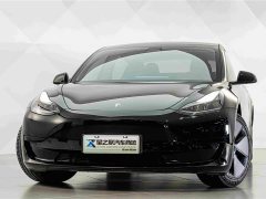 Tesla Model 3 Standard Range RWD Upgrade - ფოტო 3
