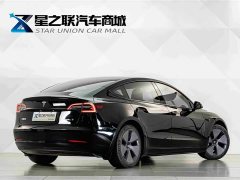Tesla Model 3 Standard Range RWD Upgrade - ფოტო 6