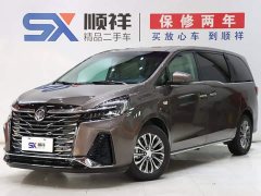 Buick GL8 Facelift Land Executive Cabin Luxury - ფოტო 1