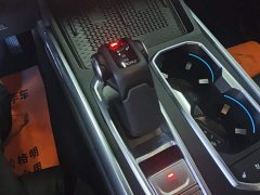 Tank 400 New Energy Hi4-T Off-Road Edition - ფოტო 16