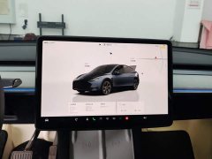 Tesla Model Y Rear-Wheel Drive - ფოტო 13