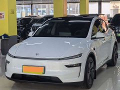 Tesla Model Y Rear-Wheel Drive - ფოტო 1