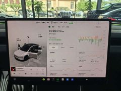 Tesla Model Y Rear-Wheel Drive - ფოტო 10