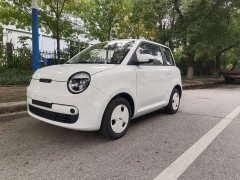 Changan Lumin Treasure Edition 205km Pure Love Rice Guoxuan - ფოტო 1