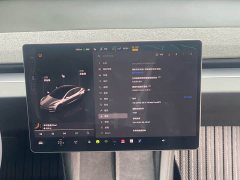 Tesla Model 3 Rear-Wheel Drive - ფოტო 15