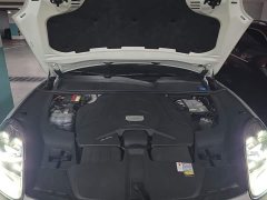 Porsche Cayenne S 2.9T Platinum Edition - ფოტო 10