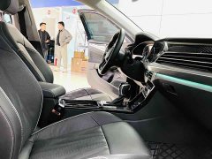 Volkswagen Passat 330TSI Luxury - ფოტო 6