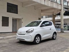 SAIC Corey Wei CLEVER 302km All-Purpose Edition - ფოტო 1
