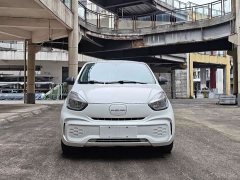 SAIC Corey Wei CLEVER 302km All-Purpose Edition - ფოტო 2