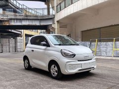 SAIC Corey Wei CLEVER 302km All-Purpose Edition - ფოტო 3