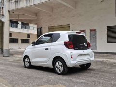 SAIC Corey Wei CLEVER 302km All-Purpose Edition - ფოტო 4