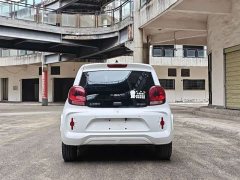 SAIC Corey Wei CLEVER 302km All-Purpose Edition - ფოტო 5