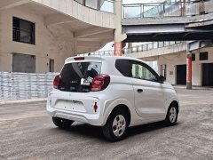 SAIC Corey Wei CLEVER 302km All-Purpose Edition - ფოტო 6