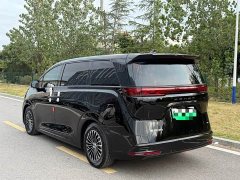 Denza D9 DM-i 970 Luxury - ფოტო 12