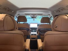 Denza D9 DM-i 970 Luxury - ფოტო 5