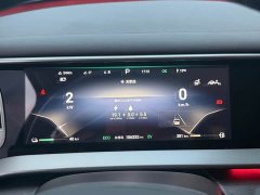 Denza D9 DM-i 970 Luxury - ფოტო 9