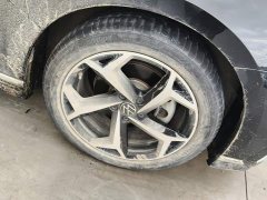 Volkswagen Magotan 2 Million Units Commemorative Edition 330TSI DSG Luxury - ფოტო 6