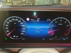 Mercedes-Benz Maybach GLS 480 4MATIC Elegance Edition - ფოტო 10