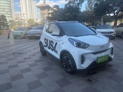 Chery Ant Edition 30kW 301km - ფოტო 2
