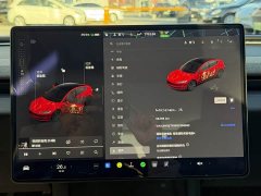 Tesla Model 3 Rear-Wheel Drive - ფოტო 15