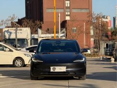 Tesla Model 3 Rear-Wheel Drive - ფოტო 2