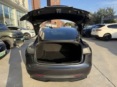 Tesla Model 3 Rear-Wheel Drive - ფოტო 8