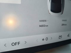 Geely Galaxy Xingyao 8 130km EM-i Flagship - ფოტო 13