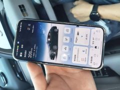 Geely Galaxy Xingyao 8 130km EM-i Flagship - ფოტო 9