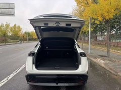 Nissan ARIYA 600 - ფოტო 14