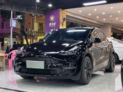 Tesla Model Y Long Range All-Wheel Drive - photo 1