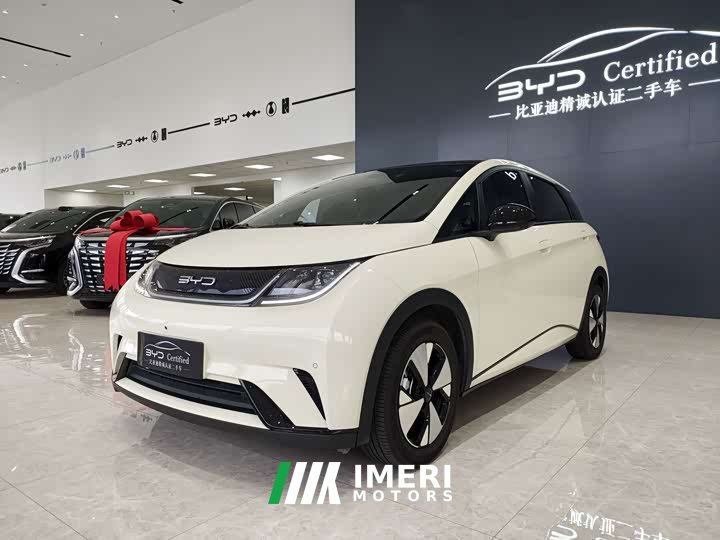 BYD Dolphin 420km Fashion Edition - ავტომობილი ჩინეთიდან