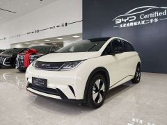 BYD Dolphin 420km Fashion Edition - ფოტო 1