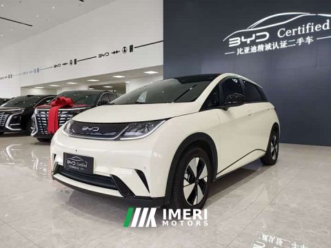 2024 BYD Dolphin 420km Fashion Edition
