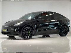 Tesla Model Y Facelift Rear-Wheel Drive - ფოტო 1