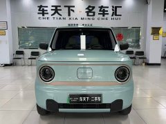 Geely Panda Mini 200km Endurance Edition - ფოტო 1