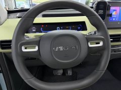 Geely Panda Mini 200km Endurance Edition - ფოტო 11
