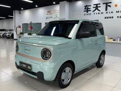 Geely Panda Mini 200km Endurance Edition - ფოტო 2