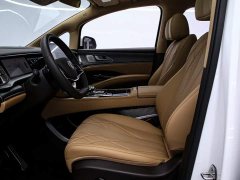 Denza D9 DM-i AWD Premium Navigation Edition - ფოტო 14