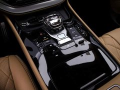 Denza D9 DM-i AWD Premium Navigation Edition - ფოტო 9