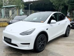 Tesla Model Y Rear-Wheel Drive - ფოტო 1