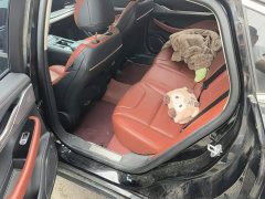Lincoln Z 2.0T Premier - ფოტო 11